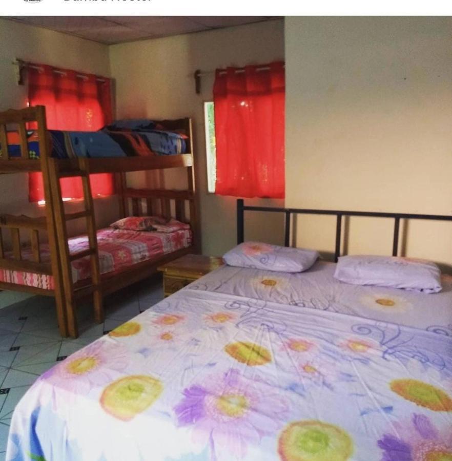 Bambu Hostel David Zewnętrze zdjęcie
