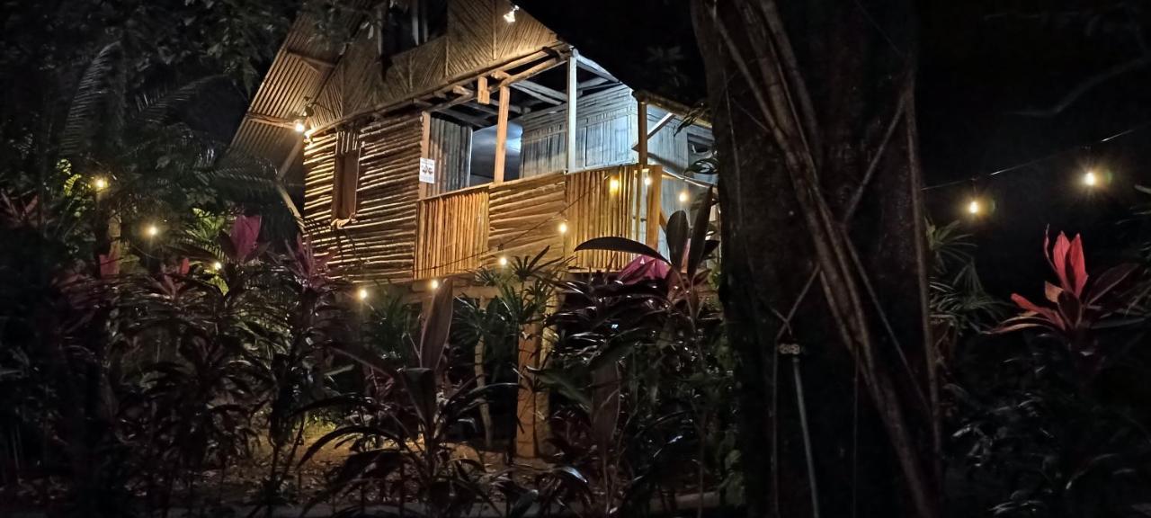 Bambu Hostel David Zewnętrze zdjęcie
